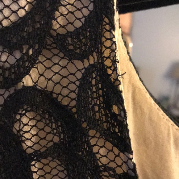 Lace Cocktail Dress - Picture 3 of 8